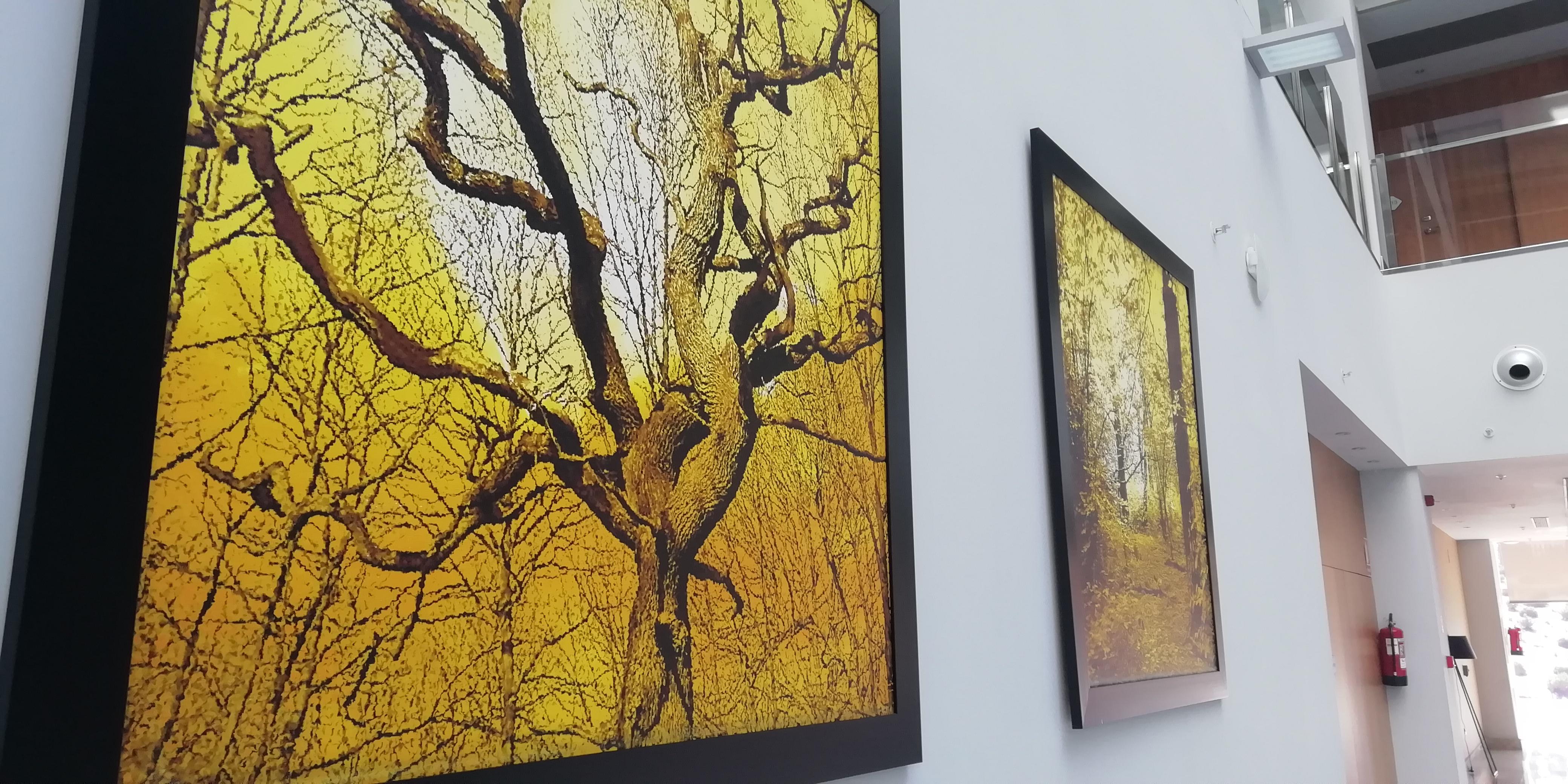 Hotel Ciudad De Ponferrada, Ascend Hotel Collection 外观 照片